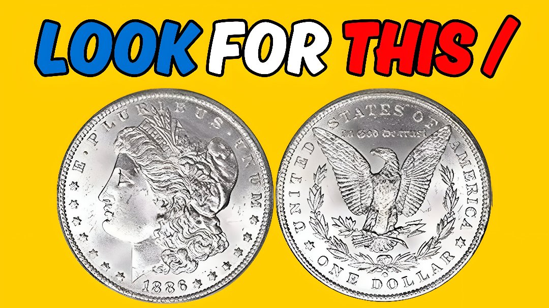 Rare Morgan Silver Dollar Found in Antique Store Sold for $1.8 Million